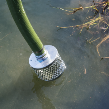 Įsiurbimo žarnos krepšelis 50 mm / 2" be atbulinio vožtuvo