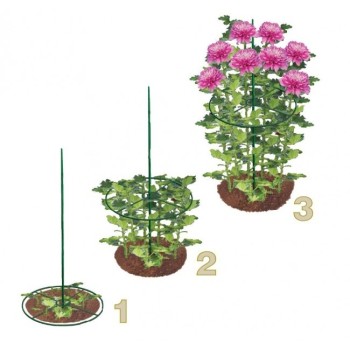 Apvali gėlių atrama 30 cm (2 vnt.) 