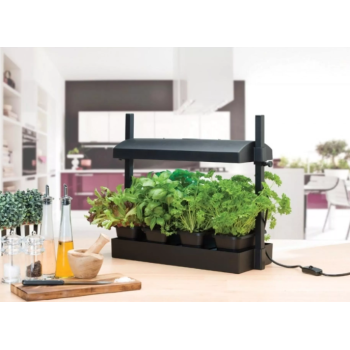 Micro Grow Light Garden daigykla 8W Juoda