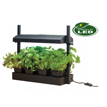 Micro Grow Light Garden daigykla 8W Juoda | laistymoiranga.lt