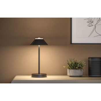 Akumuliatorinis šviestuvas Pellini juodos spalvos, 330x150mm