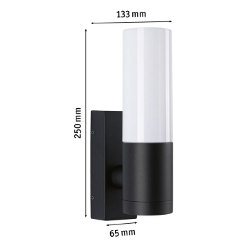 Sieninis šviestuvas Tralia 10W