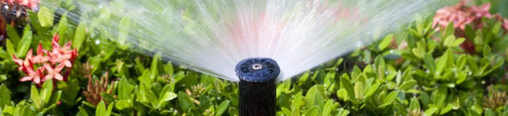 Kokį pavojų kalkės kelia augalams ir laistymo sistemai?