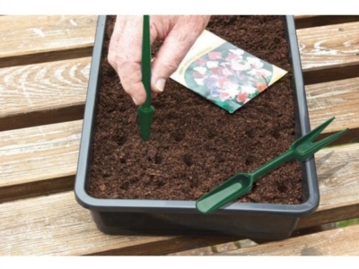 10 paprastų žingsnių augalų daiginimui iš sėklų